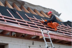 Wall and Roof Sheathing